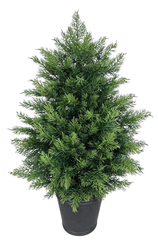 Potted Cypress Tabletop Tree — Pewter Pot