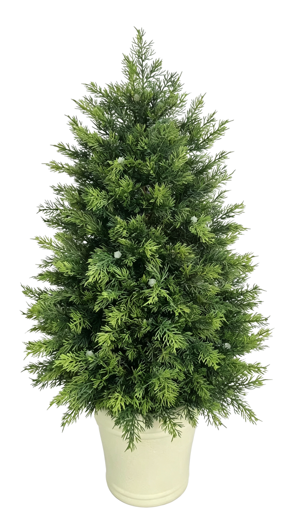 Potted Cypress Tabletop Tree — Ivory Pot
