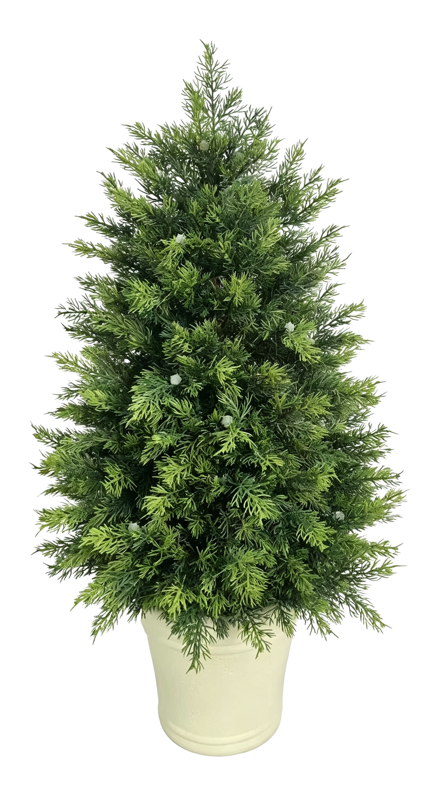 Potted Cypress Tabletop Tree — Ivory Pot