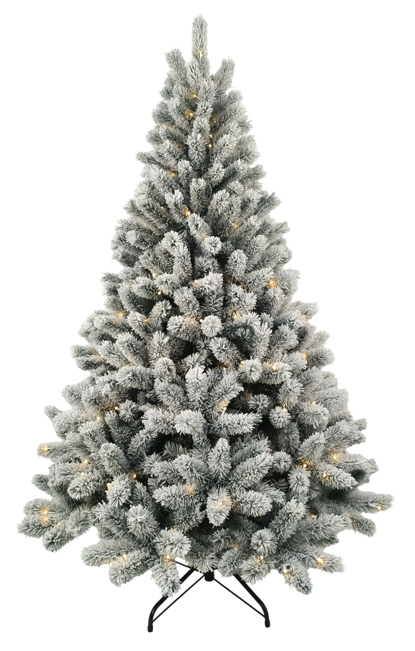 TT40360FHLED