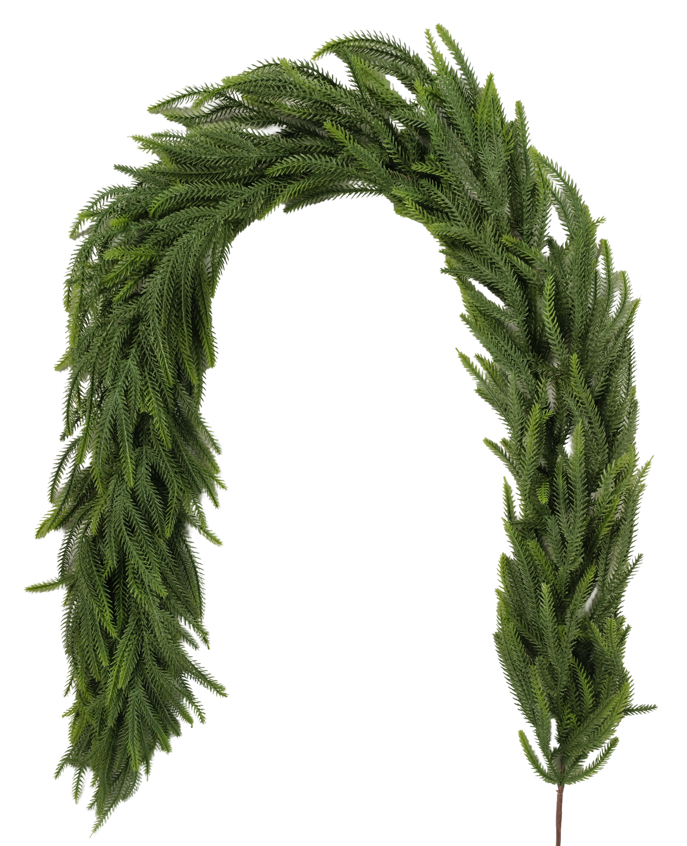 TT82048